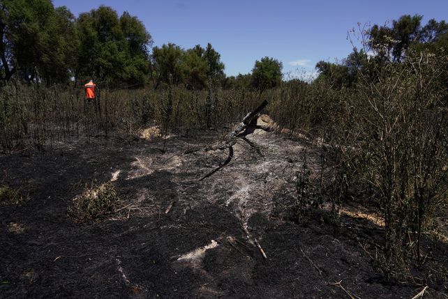 El paso de los incendios por la Isla de los Mástiles, en imágenes