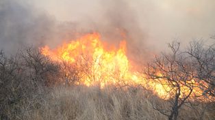 Córdoba: Rescataron a 30 chicos y 20 adultos aislados por el fuego en un cerro