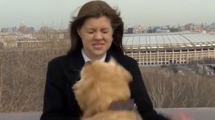 Un perro le arrebata el micrófono a una periodista durante un vivo y escapa del lugar