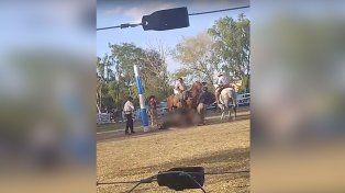 La denuncia por maltrato animal había sido presentada el 6 de julio de 2023 por la presidenta de la Asociación Civil Ecoguay