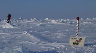 El Polo Norte podr&iacute;a quedarse por primera vez sin hielo en el verano