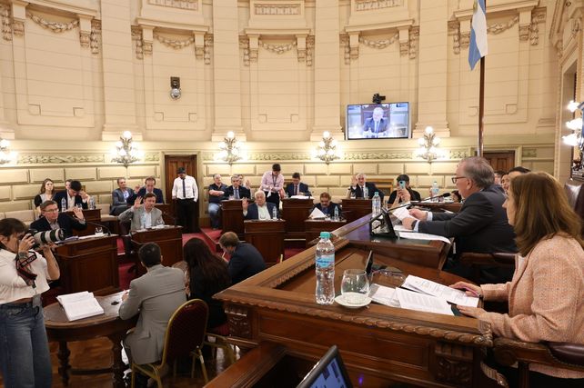 El Senado dio media sanción por unanimidad a la ley de municipios. 