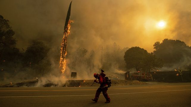 Incendios forestales fuera de control azotan grandes regiones de California