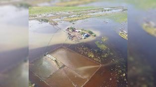 Decretan la emergencia agropecuaria en 4 localidades