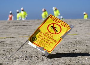 Una marea negra de petróleo afecta a las playas del sur de California