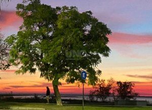 Miércoles primaveral en la ciudad de Santa Fe: mañanas frescas y tardes templadas
