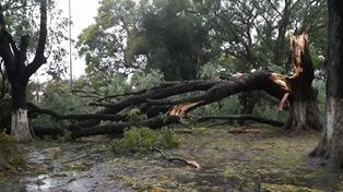 Se voló el techo de la comisaría en la localidad de Villa Guillermina
