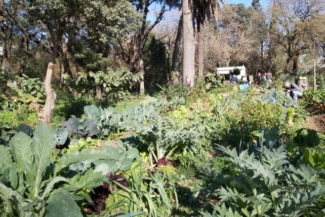 Rosario recibió un premio internacional por un proyecto de agricultura urbana