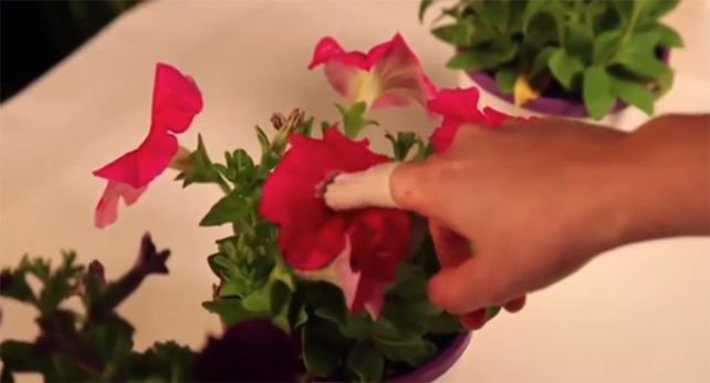 El EcoSexo está apuntado a generar un contacto íntimo con la naturaleza.&nbsp;