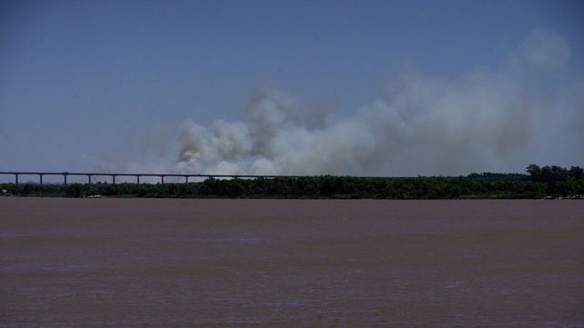 Una fuerte cortina de humo se vio desde la costa rosarina. La isla de los Mástiles sufrió un fuerte incendio este jueves.&nbsp;