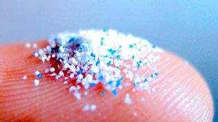 Cada persona ingiere unas 100 mil partículas de microplástico al año