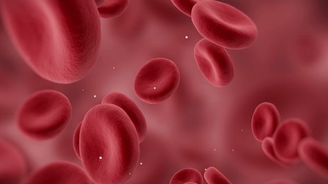 El virus del Covid-19 es más atraído por el grupo sanguíneo A