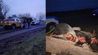 Decomisan 250 kilos de carne vacuna en un operativo realizado en Bovril