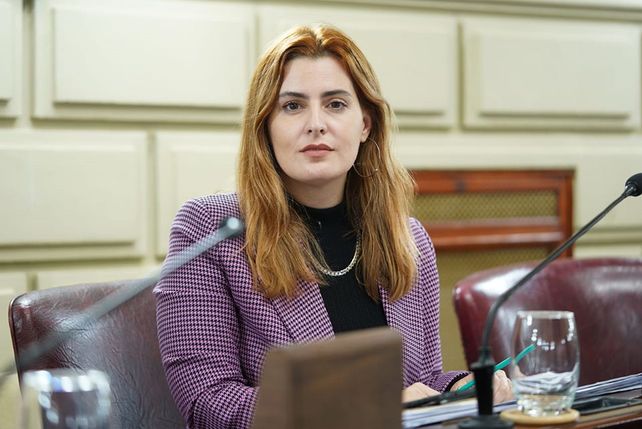 Cattalini pidió que se acelere la investigación sobre el accionar de la Justicia Federal en la causa Alvarado