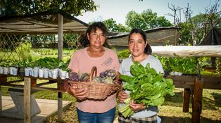 Claudia Balbi y su hija, Yanina Avendaño cultivan en dos parcelas del parque huerta del sudoeste.