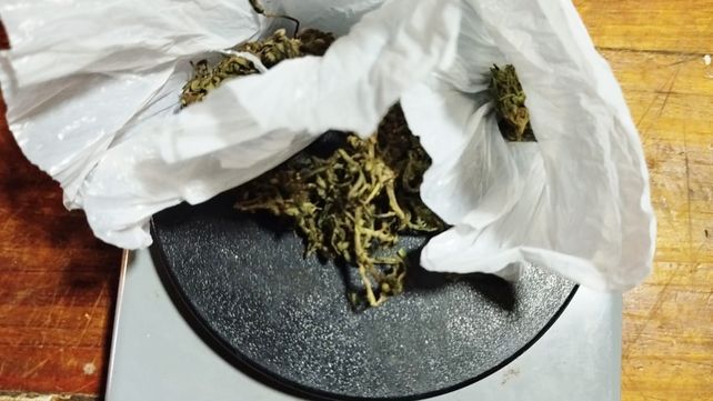 En un allanamiento por narcomenudeo terminó con secuestro de cocaína