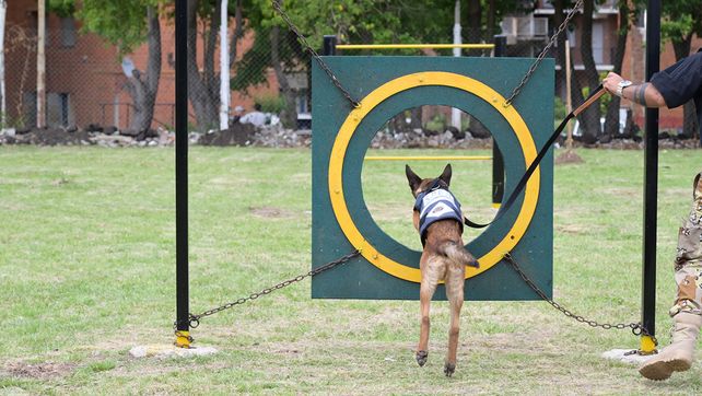 Inauguraron una pista de adiestramiento canino para búsqueda de estupefacientes y control penitenciario. Está ubicada en la Unidad Penal 1 de Paraná