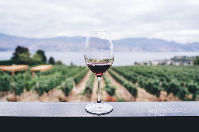 Cada 24 de noviembre se celebra el Día Nacional del Vino