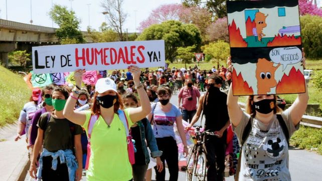 El reclamo de una ley y acciones concretas para avanzar en la investigación y la preservación del humedal son parte del escenario de los últimos meses.&nbsp;