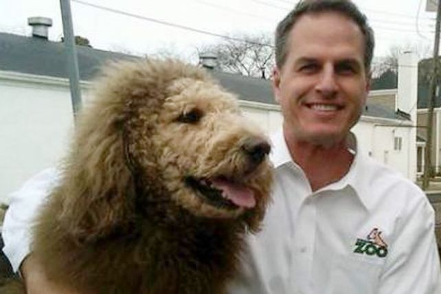 Un perro que parece león causó revuelo en un pueblo