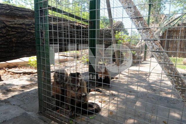 La Granja La Esmeralda recién reabriría sus puertas en marzo