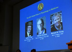 Tres científicos ganaron el Nobel de Medicina por descubrimientos sobre el reloj biológico