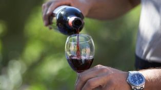 Tomar vino es mejor que ir al gimnasio, dicen científicos