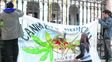 Diversas entidades vienen militando por el uso medicinal del cannabis&nbsp;