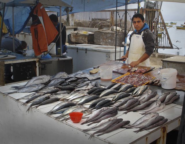 Para saborear. Pescados irresistibles esperan en una punta del viaje