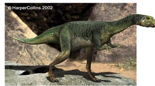 Subastan en Nueva York restos de un dinosaurio de 150 millones de a&ntilde;os