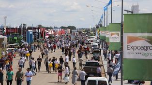 Expo. La muestra se realizará del 7 al 10 de marzo en San Nicolás.&nbsp;