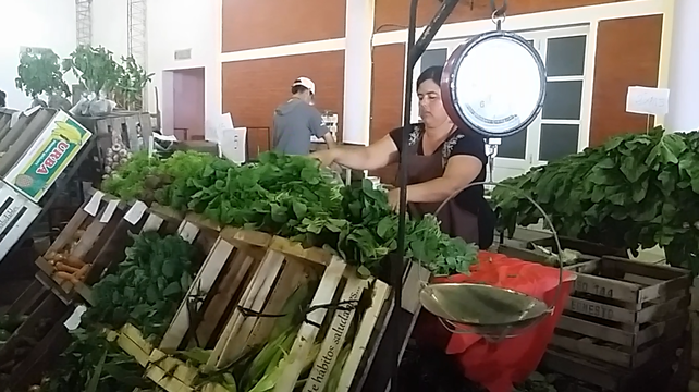Santa Fe. La feria es cada sábado en Aristóbulo del Valle y Alfonsina Storni.