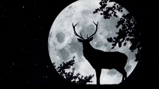 Luna de ciervo
