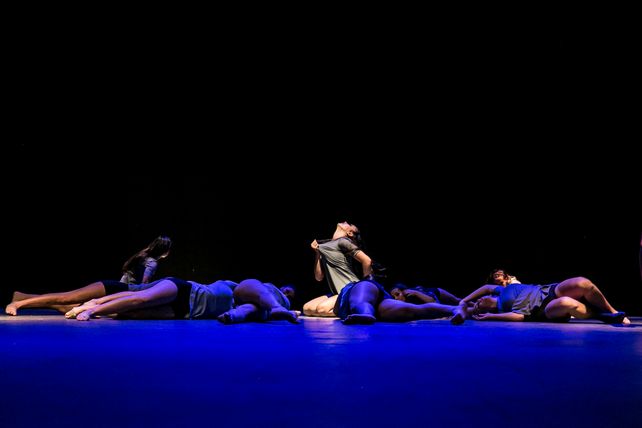 Funciones de Ciclos La Marta