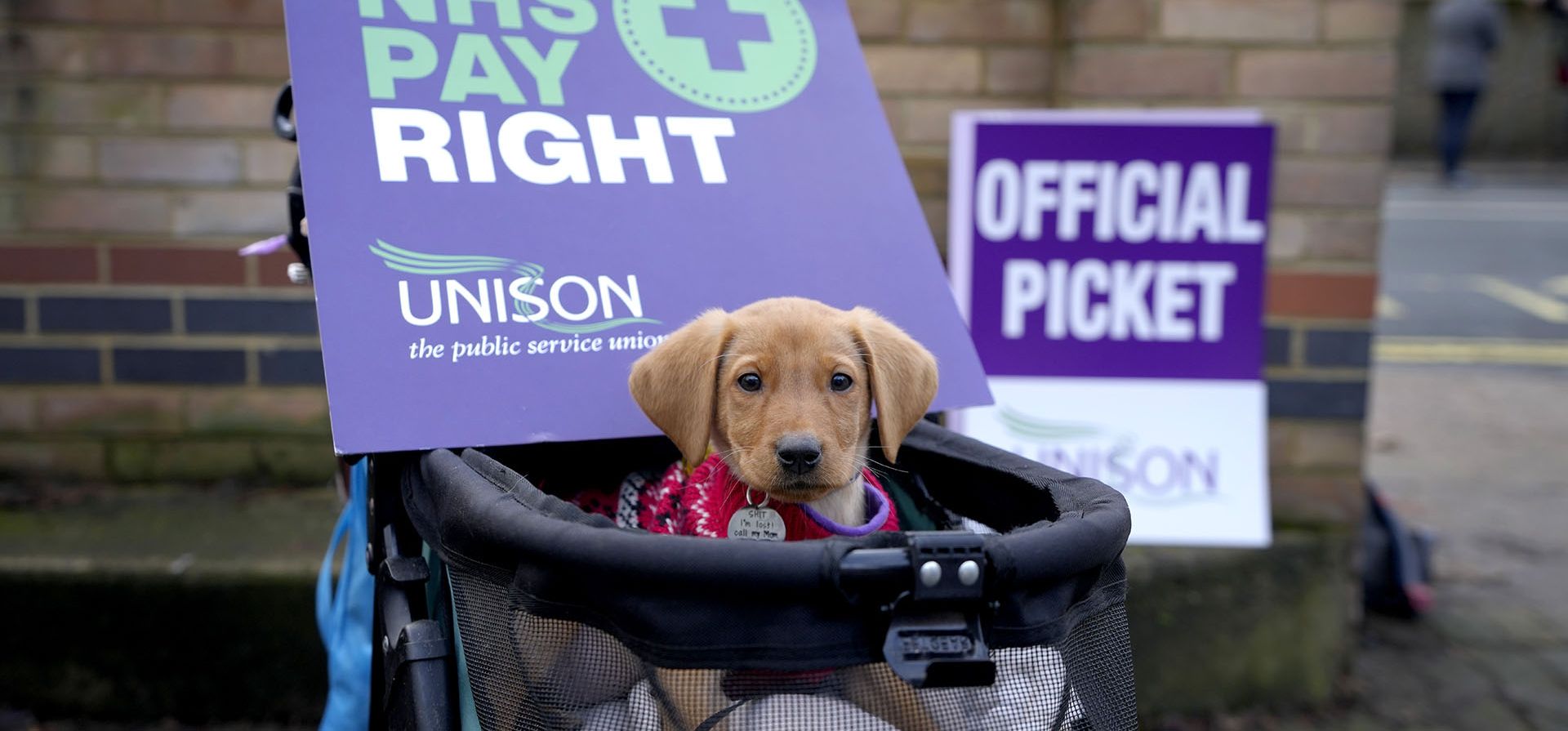 Un perro se une a los trabajadores de ambulancias en un piquete en Londres, el miércoles 21 de diciembre de 2022. Miles de trabajadores de ambulancias en Gran Bretaña están organizando una huelga de 24 horas, con sindicatos y el gobierno intercambiando acusaciones de culpa por poner vidas en riesgo. El gobierno le está diciendo a la gente que no practique deportes de contacto, no haga viajes innecesarios en automóvil ni se emborrache para reducir el riesgo de necesitar una ambulancia el miércoles. (Foto AP/Kirsty Wigglesworth)