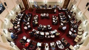 Carta Magna: crece la ola reformista en la Cámara de Diputados provincial