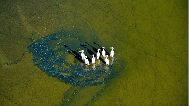 Drone Awards 2020: las mejores fotos aéreas durante la pandemia
