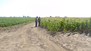 Se entregó aportes por 50 mil pesos a entidades y comunas de la provincia