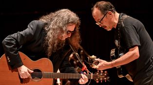 El cancionero de los artistas mixtura la música con raíz cuyana, la tonada, el gato, la cueca y el rock argentino.