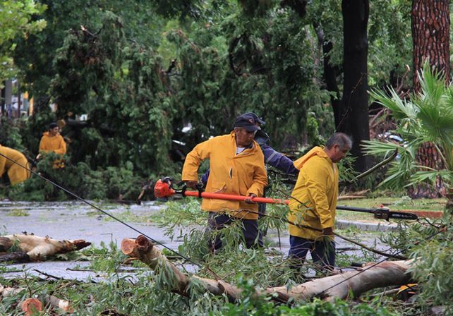 Unas 30 cuadrillas municipales trabajan en toda la ciudad
