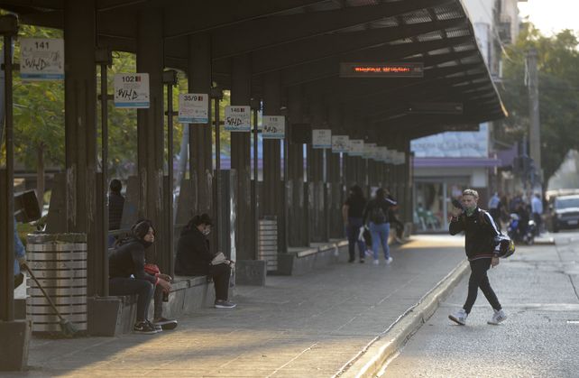 Nueva normalidad.&nbsp;En los colectivos se cancelan en un d&iacute;a un promedio de 57 mil viajes