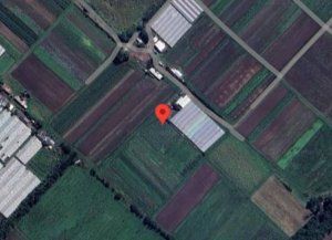 Horror en La Plata: un chico de dos años fue hallado muerto y cubierto de mordeduras