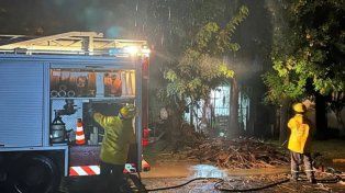 En medio de la tormenta bomberos de Crespo tuvieron que intervenir en calle 1º de Mayo cuando una palmera se incendió, luego de la caída de un rayo