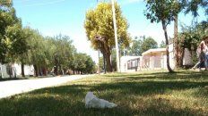 A Juan Mario Ferreyra lo amenazaron de muerte por la tarde y lo asesinaron al caer la noche. Lo mataron frente a sus sobrinos. A Juan Mario Ferreyra lo amenazaron de muerte por la tarde y lo asesinaron al caer la noche. Lo mataron frente a sus sobrinos.