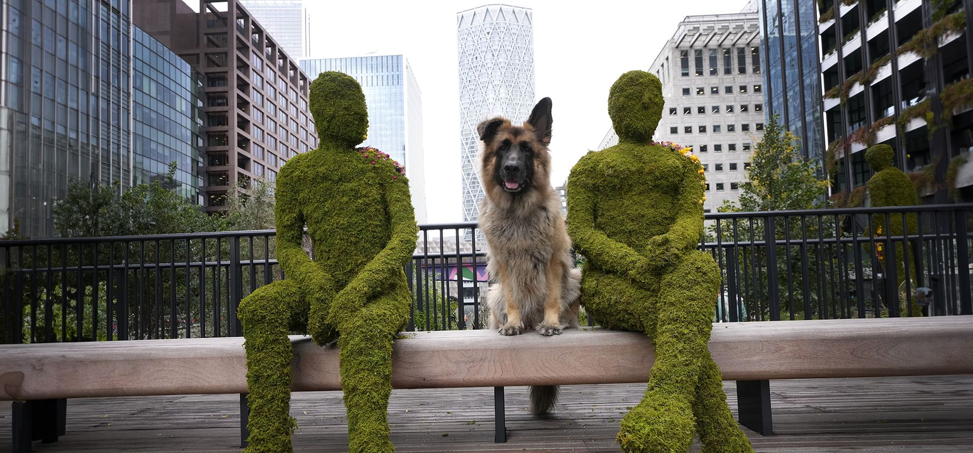 El perro Jengo se sienta junto a una parte de una instalación llamada Eden Dock en el distrito financiero Canary Wharf de Londres, en asociación con el Proyecto Edén, con el objetivo de mejorar el bienestar de las personas que viven, trabajan o visitan el área, el miércoles 2 de octubre de 2024. (Foto AP/Kirsty Wigglesworth)