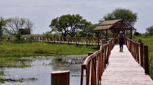 Legado Deliot: un empresario deberá devolver más de 800 hectáreas ocupadas en las islas