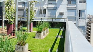 Fomentarán la implementación de “Terrazas verdes o ecológicas” en los edificios