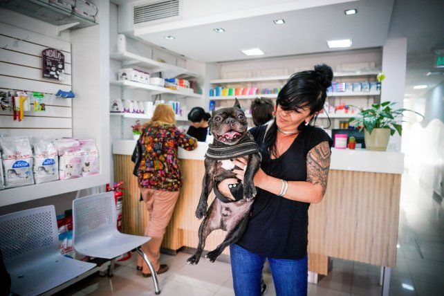 El negocio veterinario expande servicios con mayor demanda de prevención y atención a domicilio.
