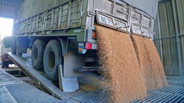 El Gobierno nacional eliminó el Registro Único de la Cadena Agroindustrial (RUCA)