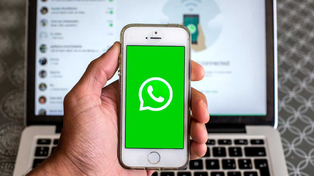 WhatsApp sumará un avatar para videollamadas que suplantará la imagen del dueño